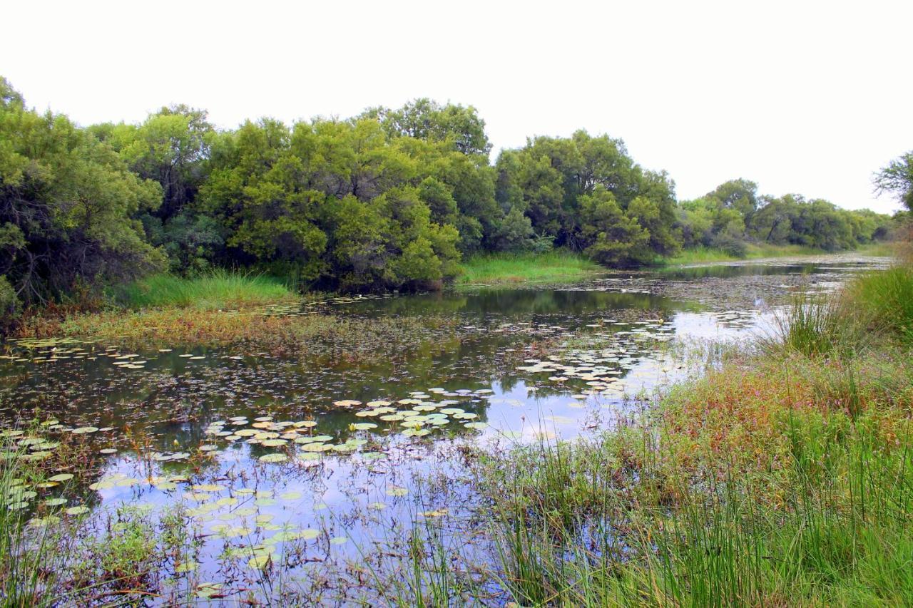 Ndlovu Log Home Dinokeng Klipdrift Buitenkant foto