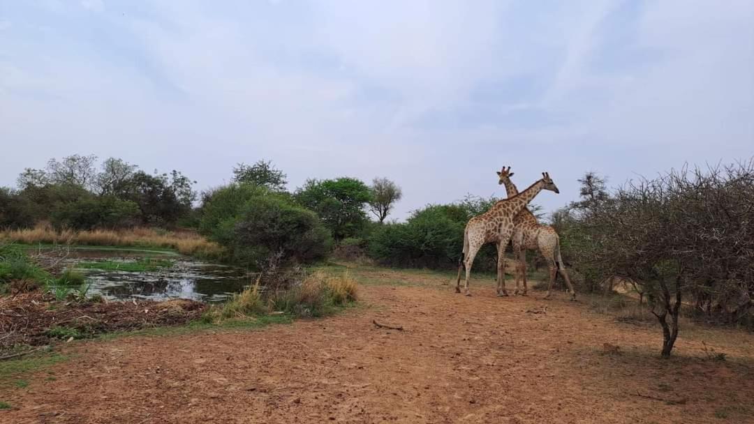 Ndlovu Log Home Dinokeng Klipdrift Buitenkant foto