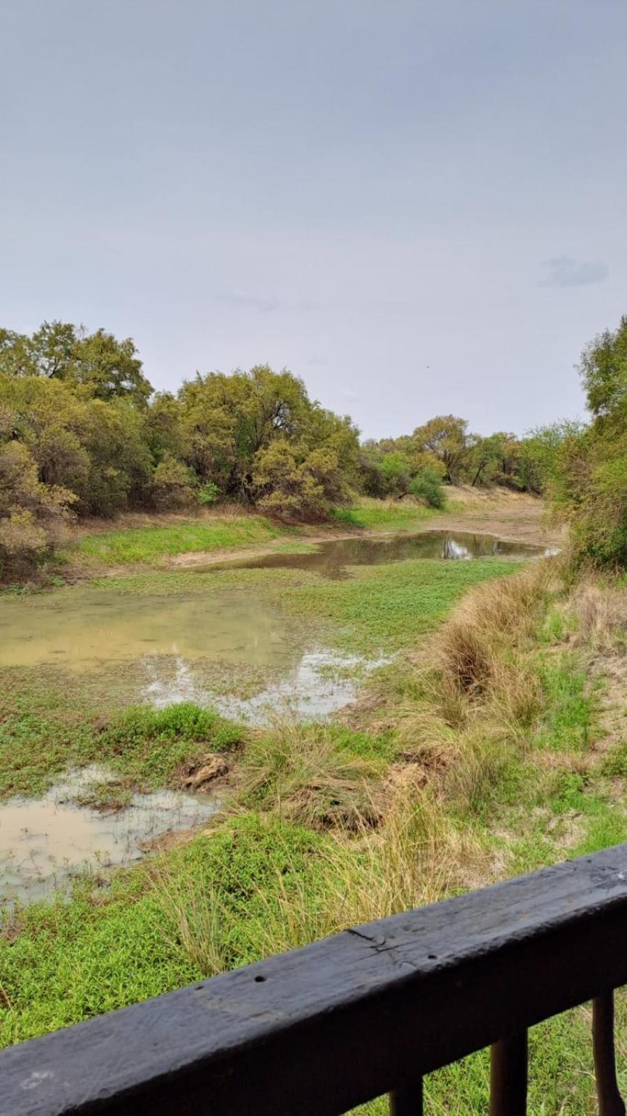 Ndlovu Log Home Dinokeng Klipdrift Buitenkant foto