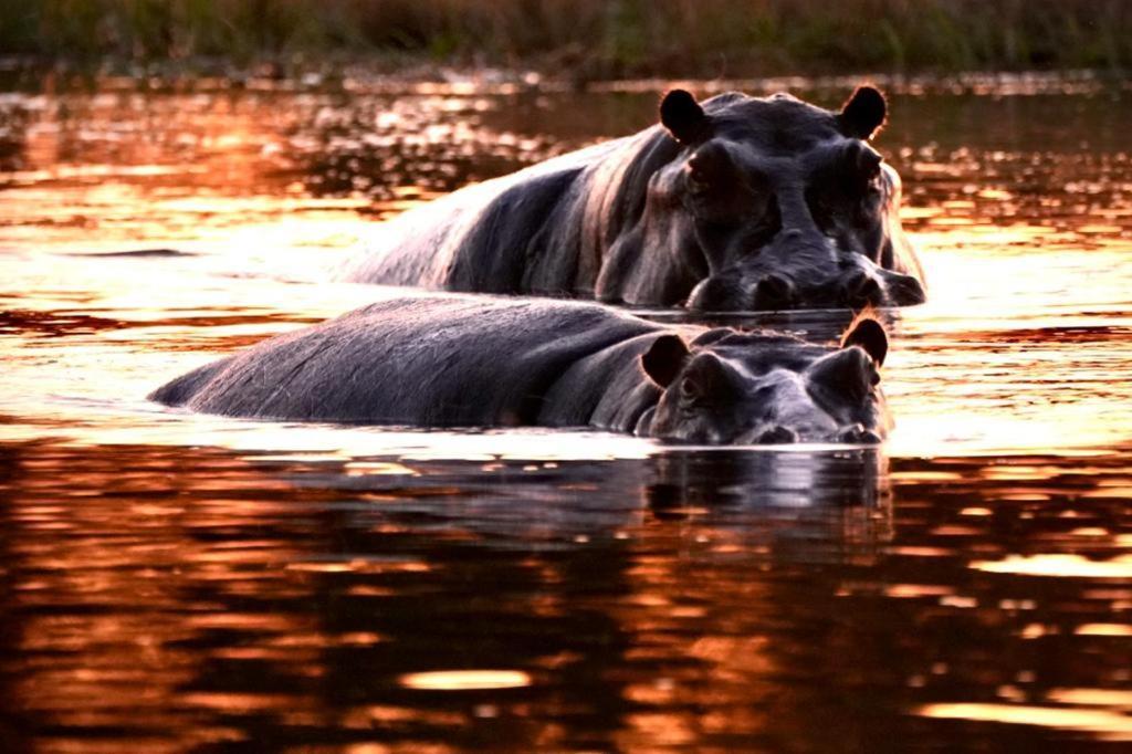 Ndlovu Log Home Dinokeng Klipdrift Buitenkant foto