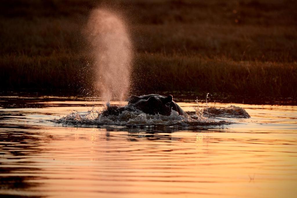 Ndlovu Log Home Dinokeng Klipdrift Buitenkant foto