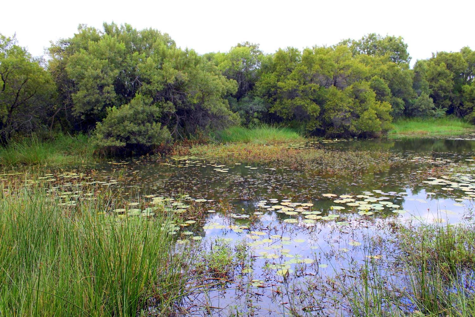 Ndlovu Log Home Dinokeng Klipdrift Buitenkant foto