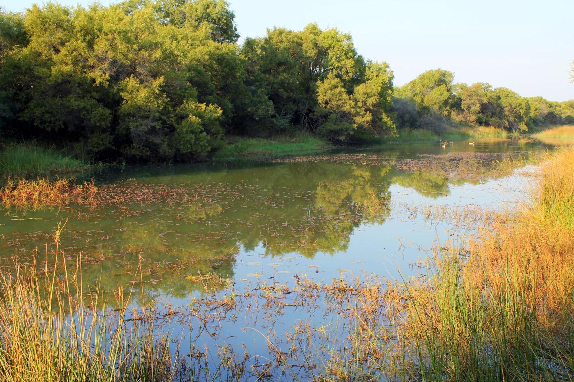 Ndlovu Log Home Dinokeng Klipdrift Buitenkant foto
