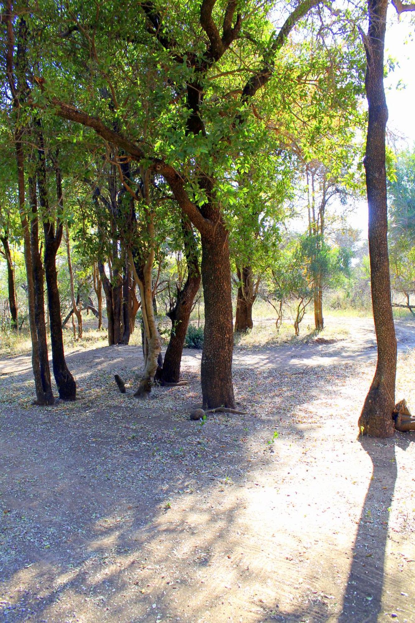 Ndlovu Log Home Dinokeng Klipdrift Buitenkant foto