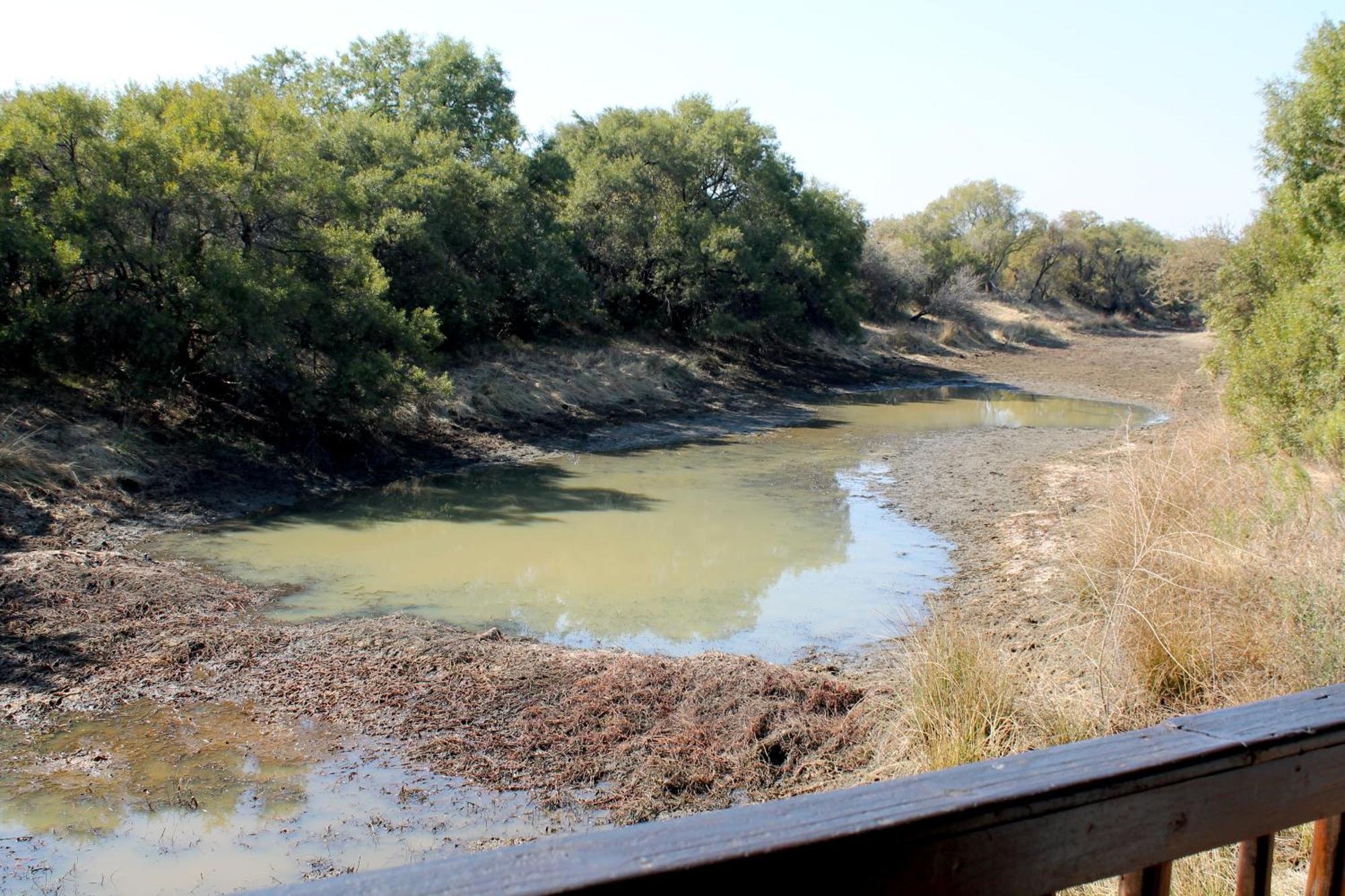 Ndlovu Log Home Dinokeng Klipdrift Buitenkant foto